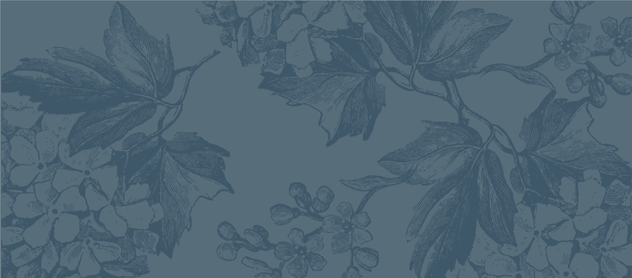 AF_BACKGROUND_blue_floral_53f9f34853.png