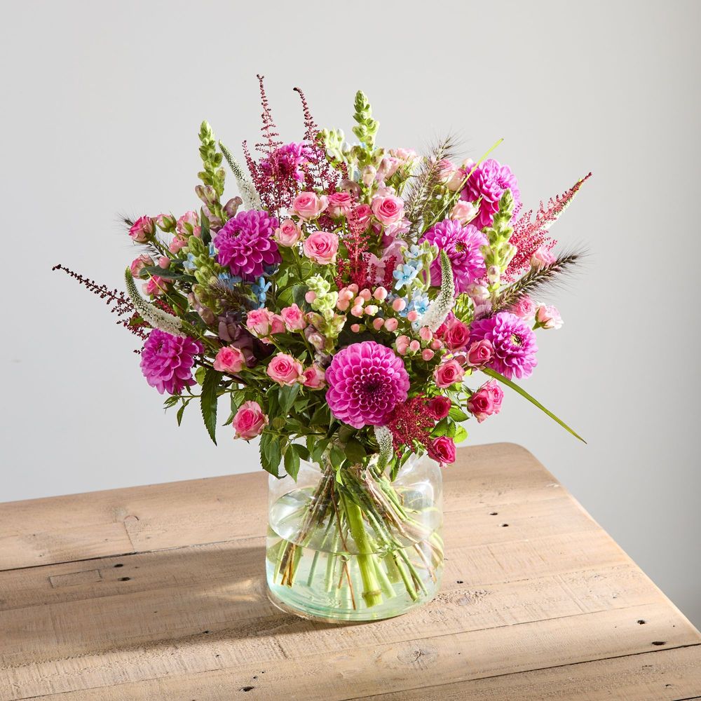 Looking for something specific?