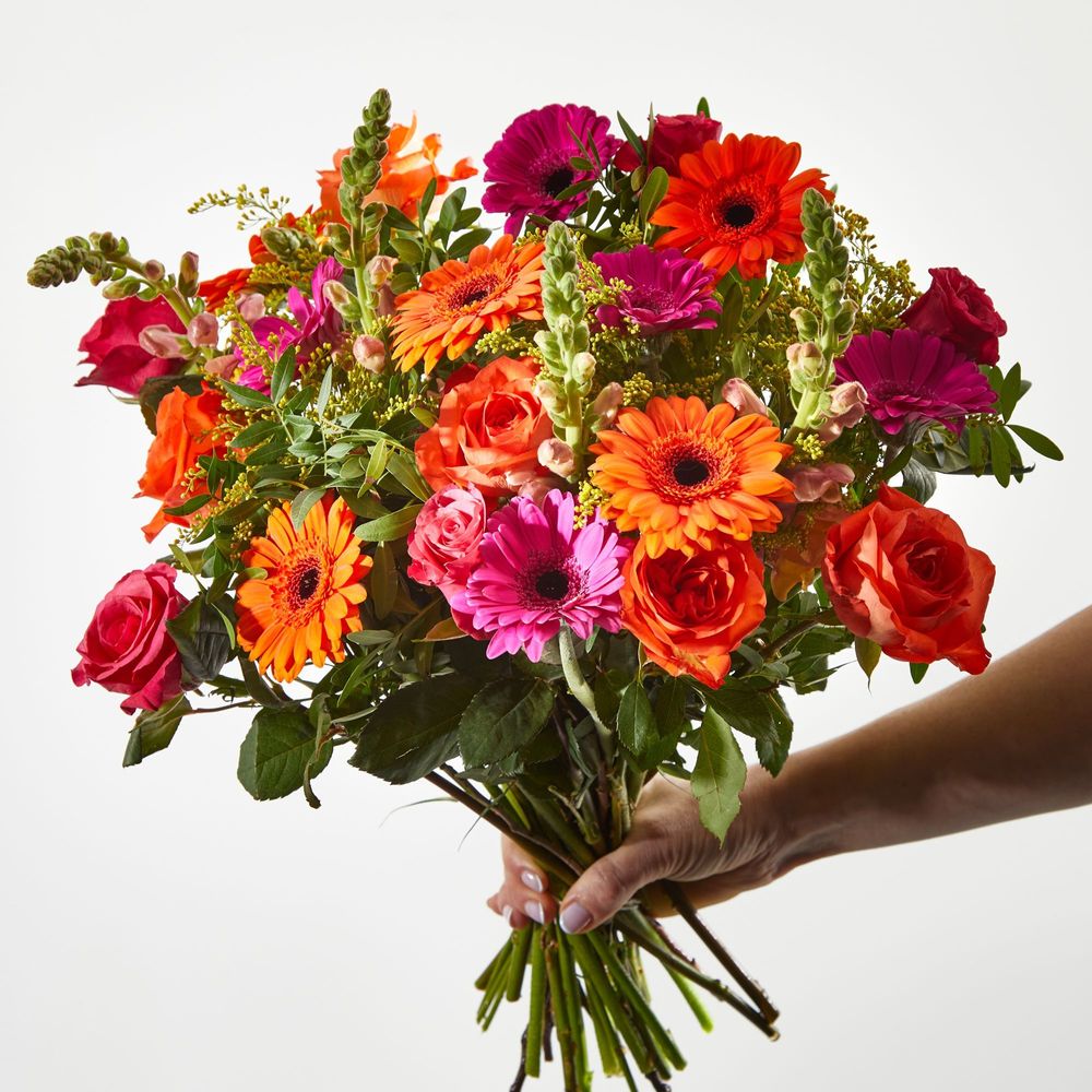 Looking for something specific?